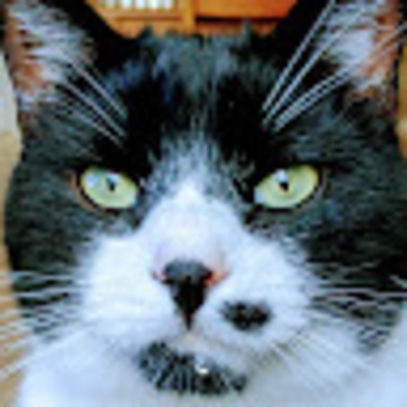 Meet your Posher, Emily - Picture 2 of 2